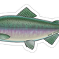 PINK SALMON DECAL (SALTWATER)