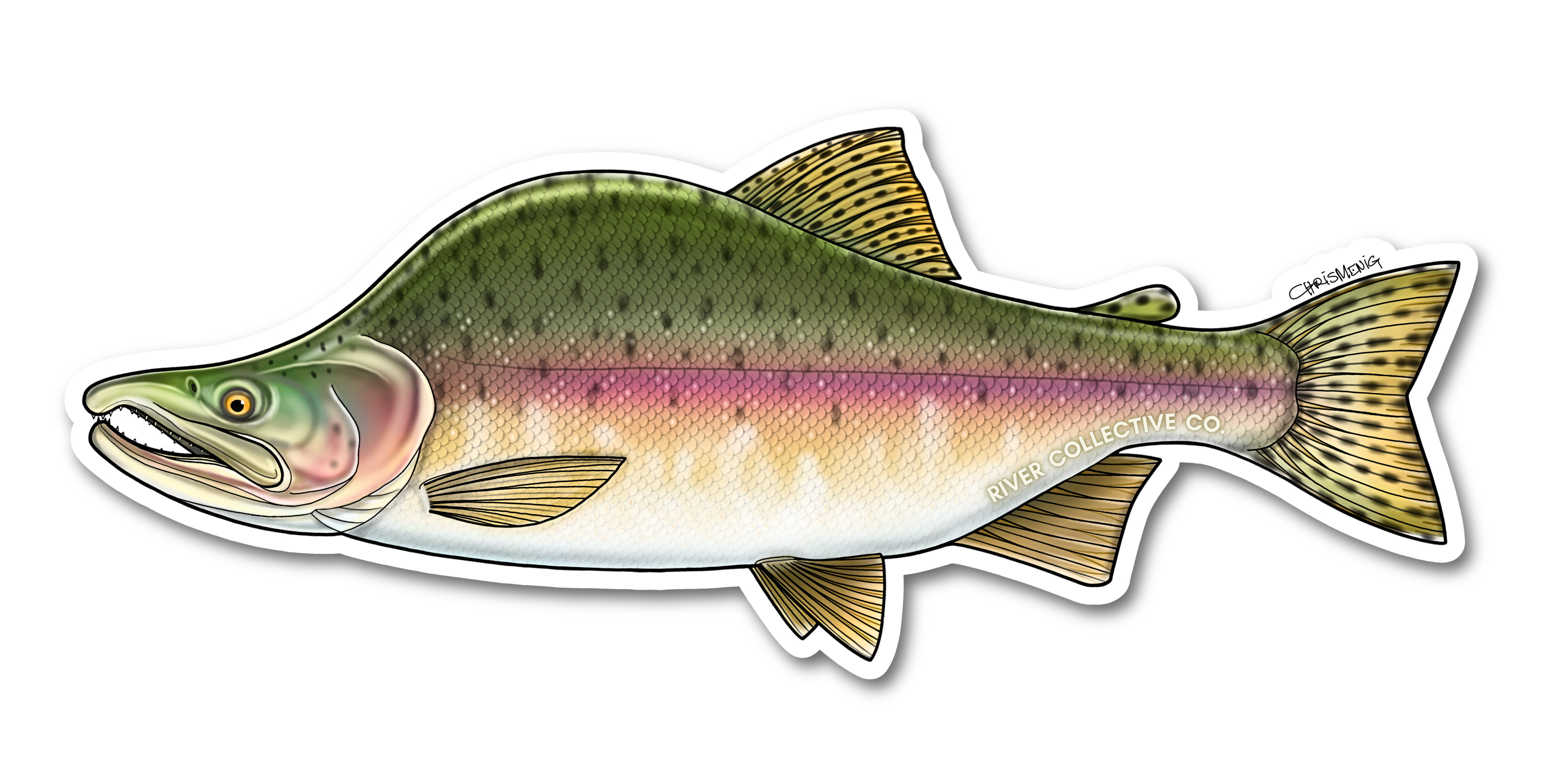 PINK SALMON (SPAWN) DECAL