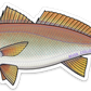 REDFISH DECAL