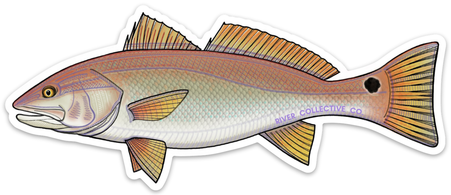 REDFISH DECAL