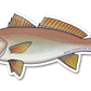 REDFISH DECAL