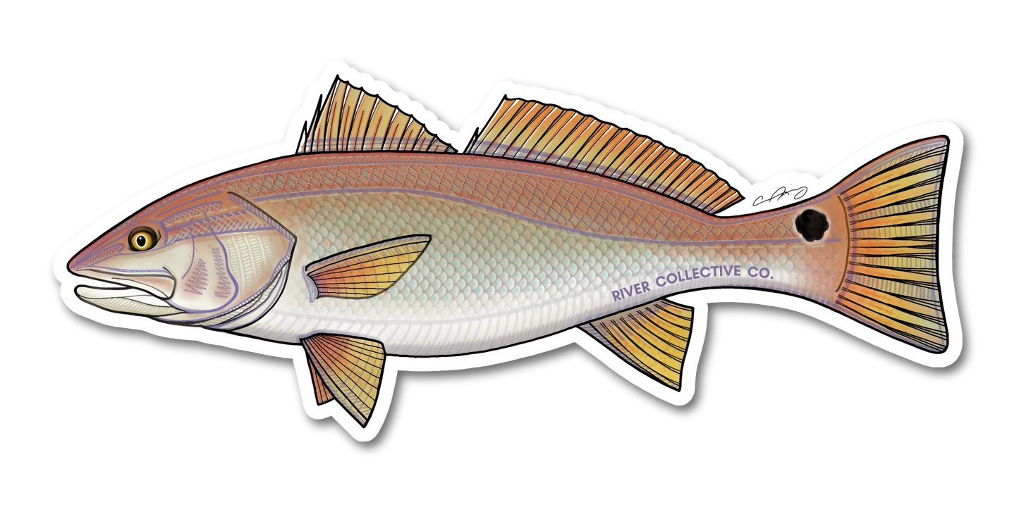 REDFISH DECAL