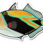 REEF TRIGGERFISH DECAL