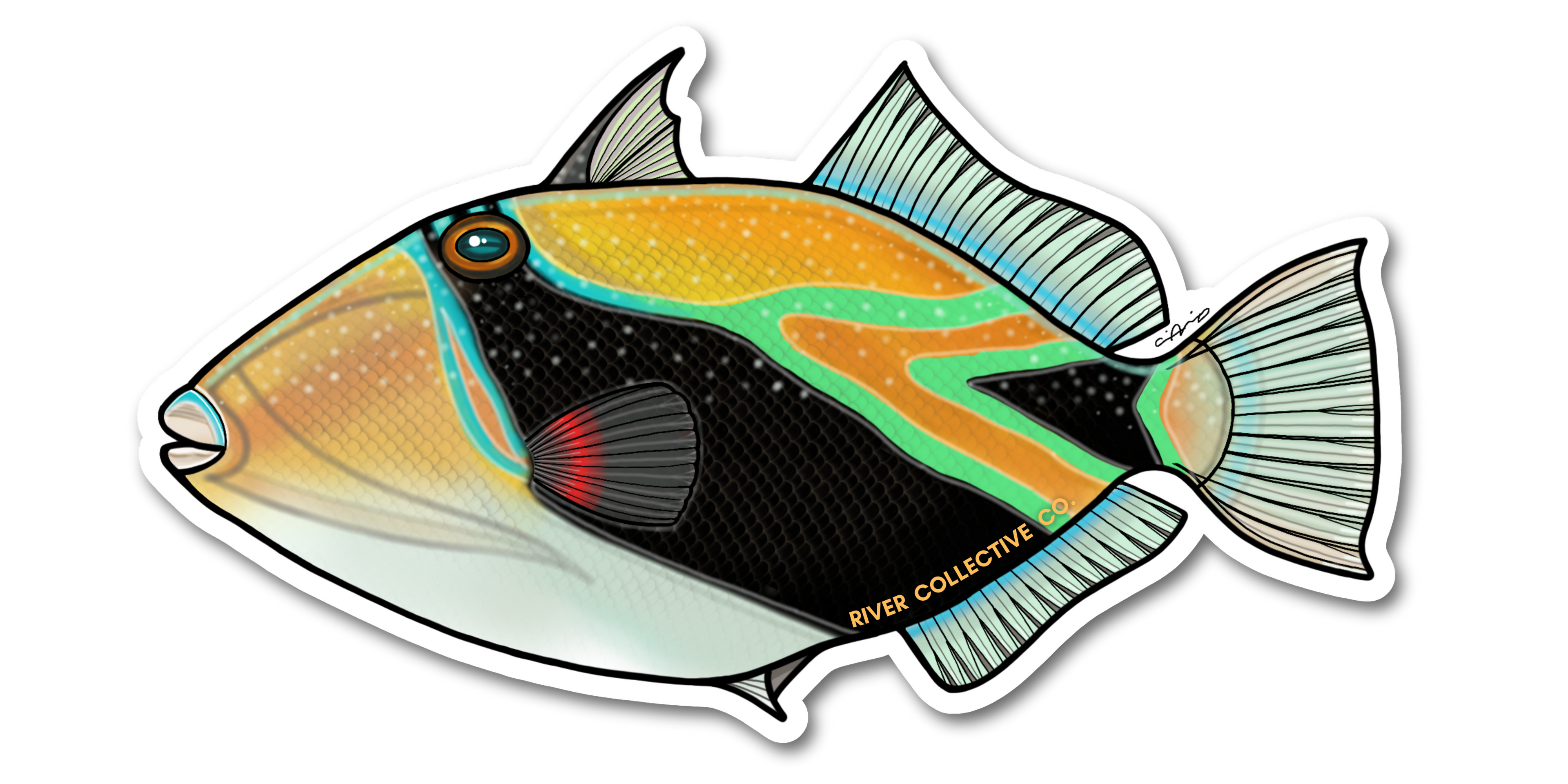 REEF TRIGGERFISH DECAL