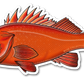 ROCKFISH DECAL
