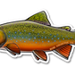 BROOK TROUT DECAL