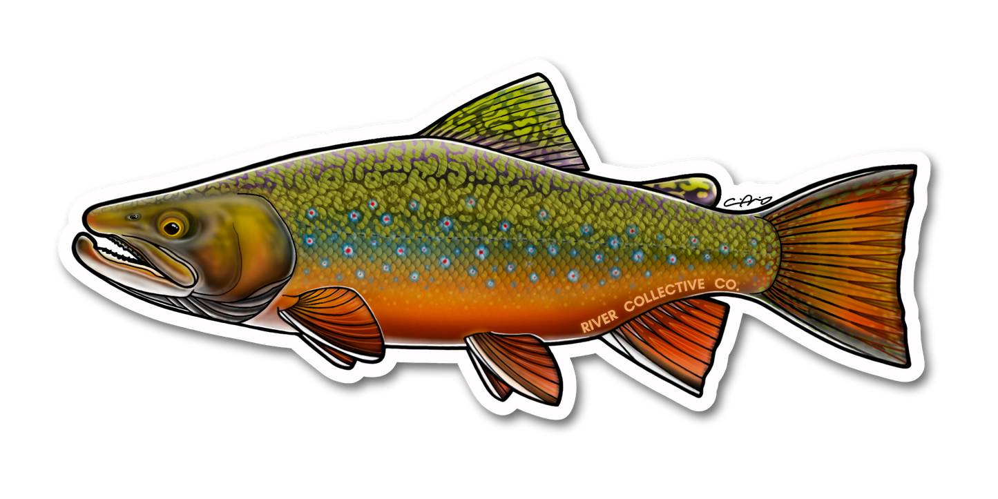 BROOK TROUT DECAL