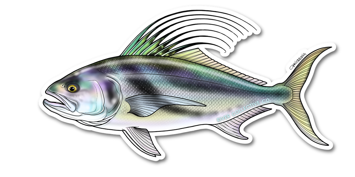 ROOSTERFISH DECAL