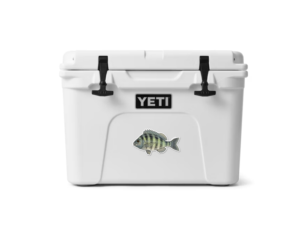 SHEEPSHEAD DECAL