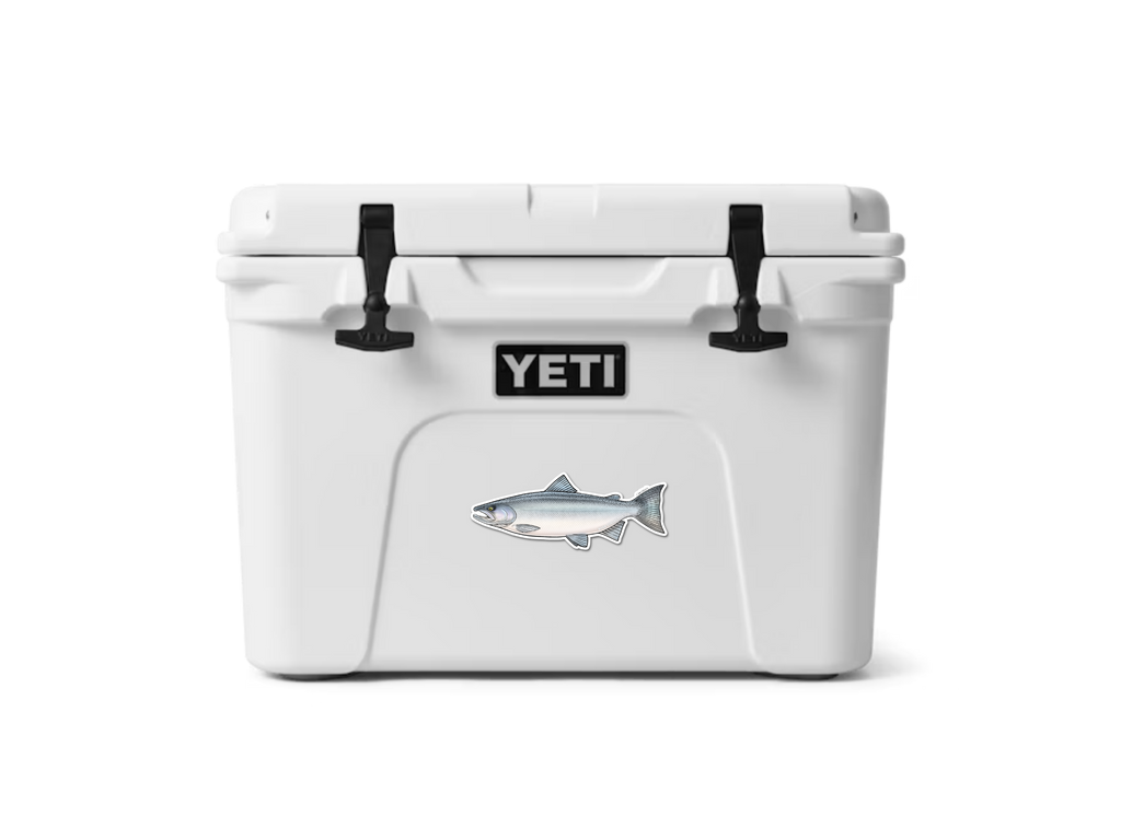 CHINOOK SALMON (CHROME) DECAL