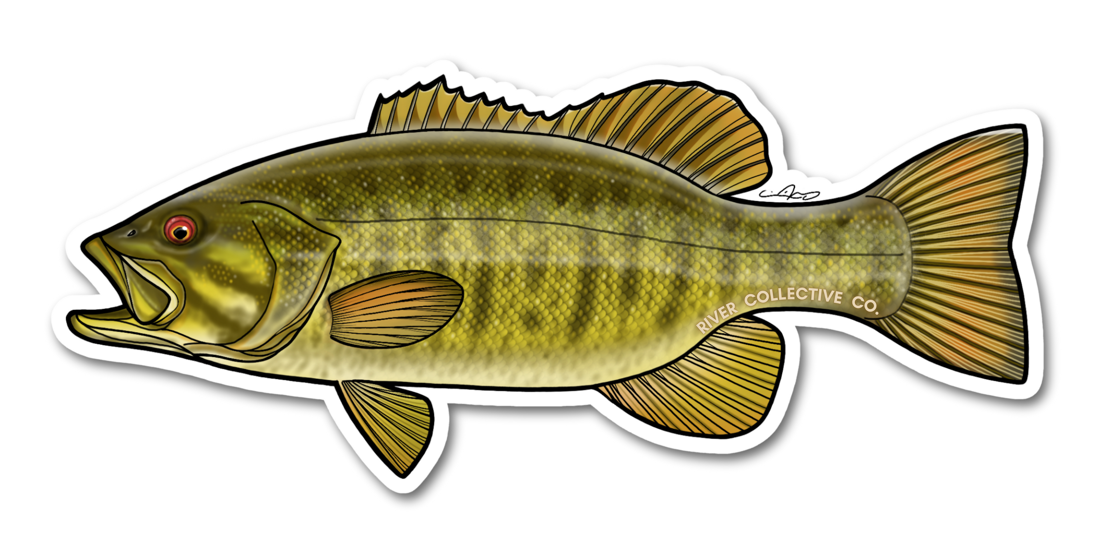 SMALLMOUTH BASS DECAL