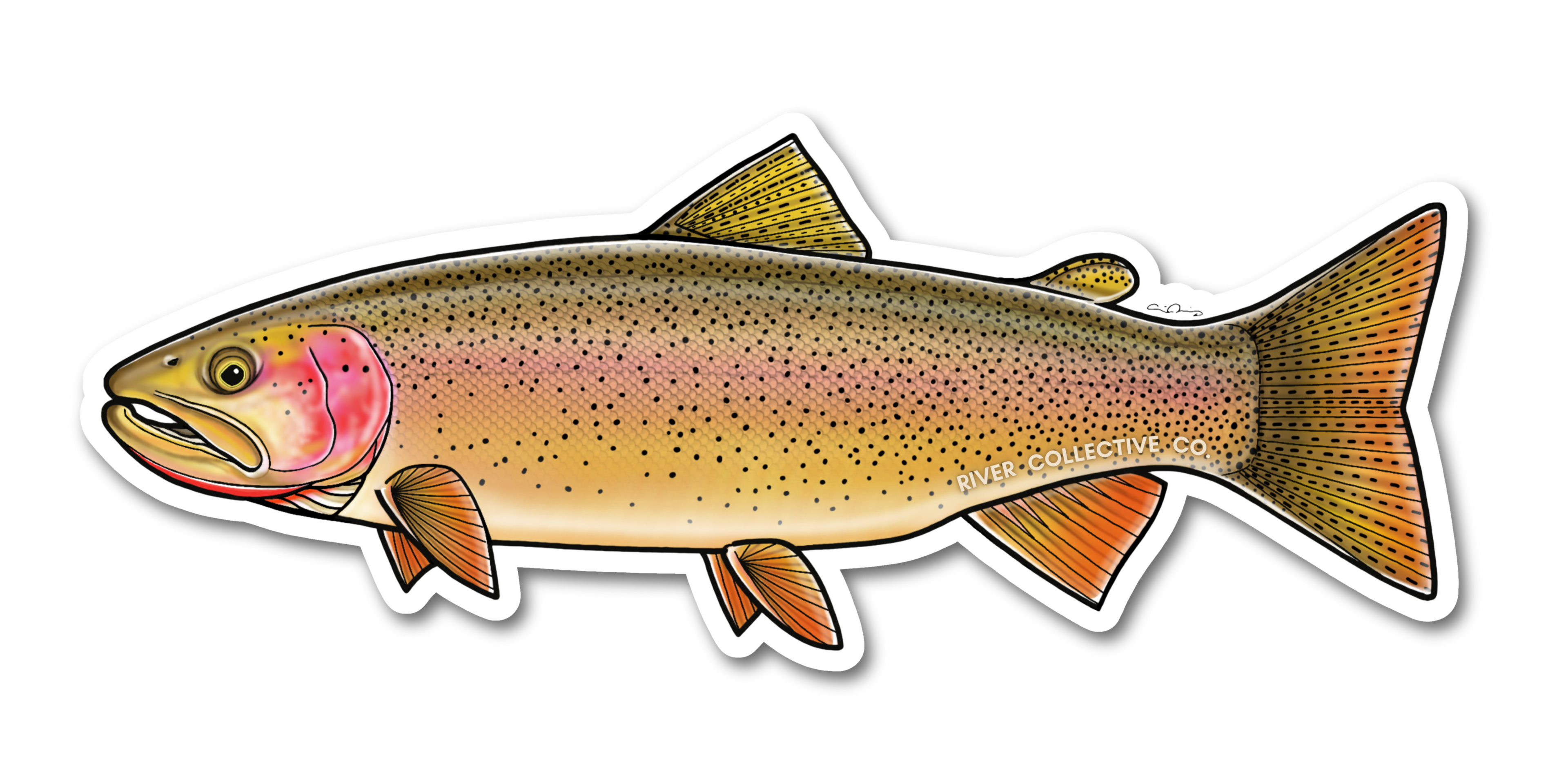 SNAKE RIVER CUTTHROAT TROUT DECAL