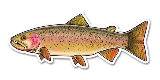 SNAKE RIVER CUTTHROAT TROUT DEACL