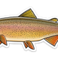SNAKE RIVER CUTTHROAT TROUT