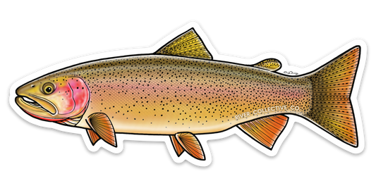 SNAKE RIVER CUTTHROAT TROUT