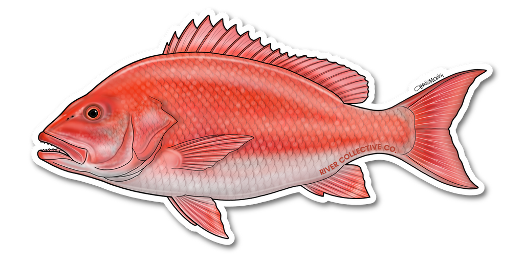 RED SNAPPER DECAL