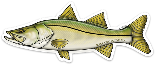 SNOOK DECAL