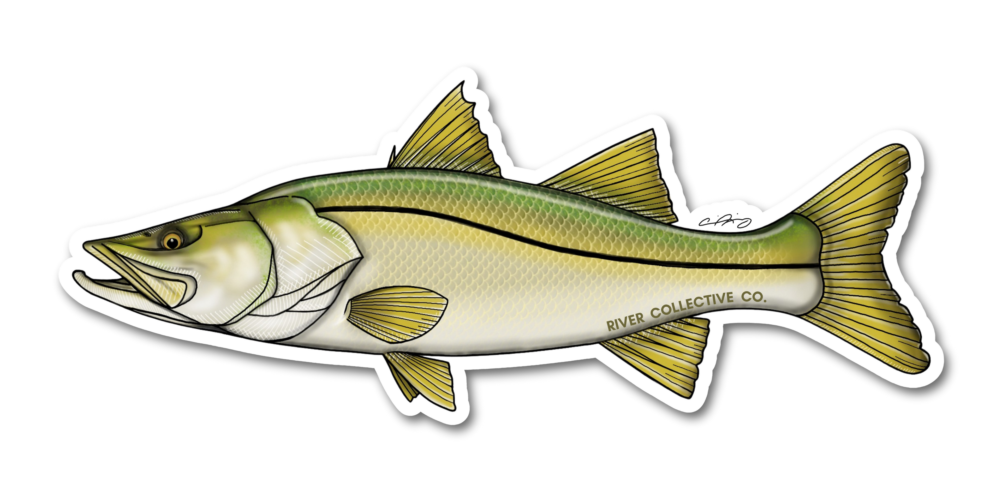 SNOOK DECAL