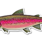 STEELHEAD DECAL (SPAWN)