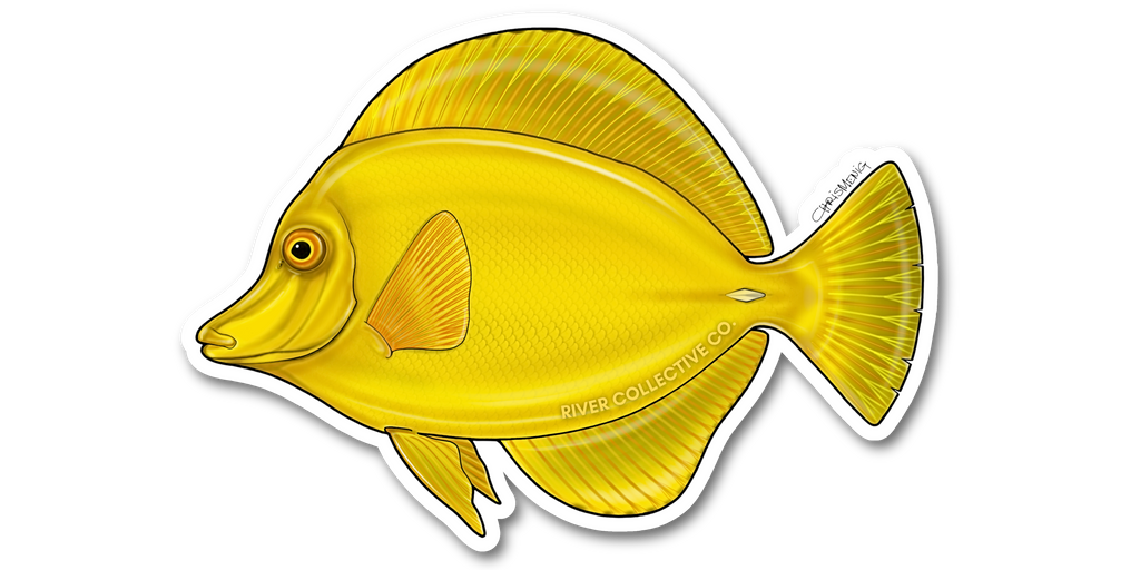 YELLOW TANG DECAL