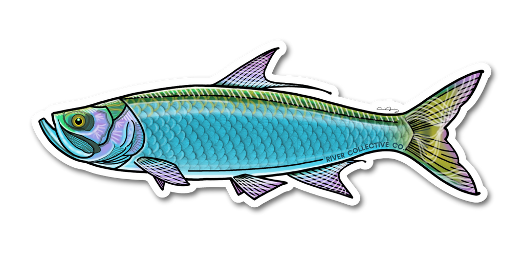 TARPON DECAL