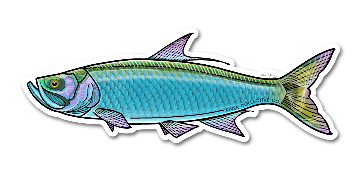TARPON DECAL