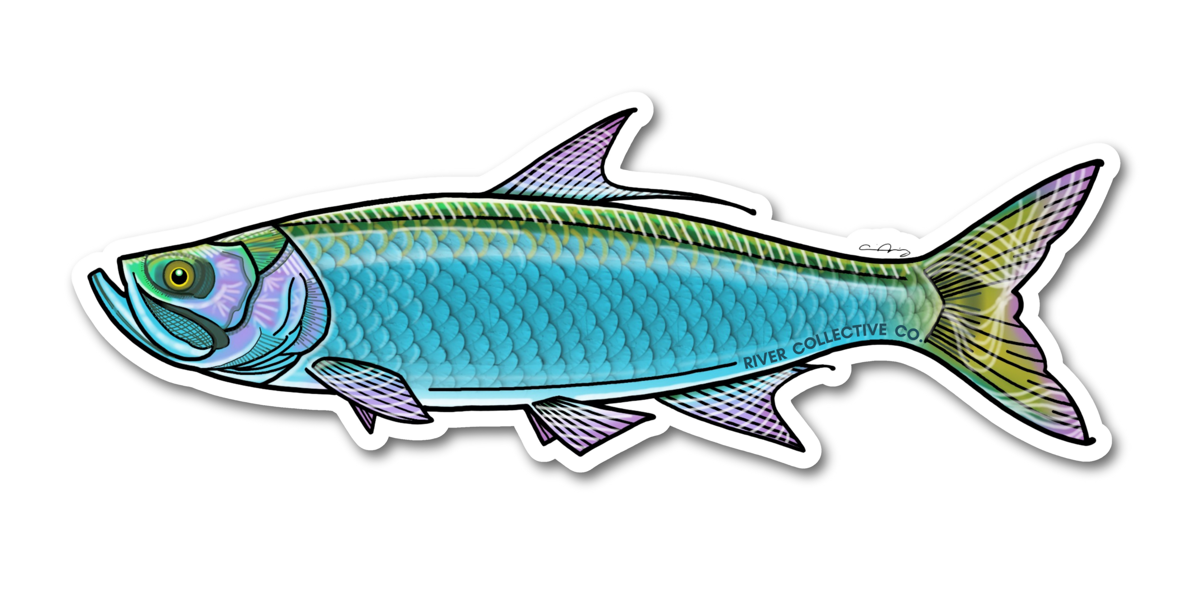 TARPON DECAL