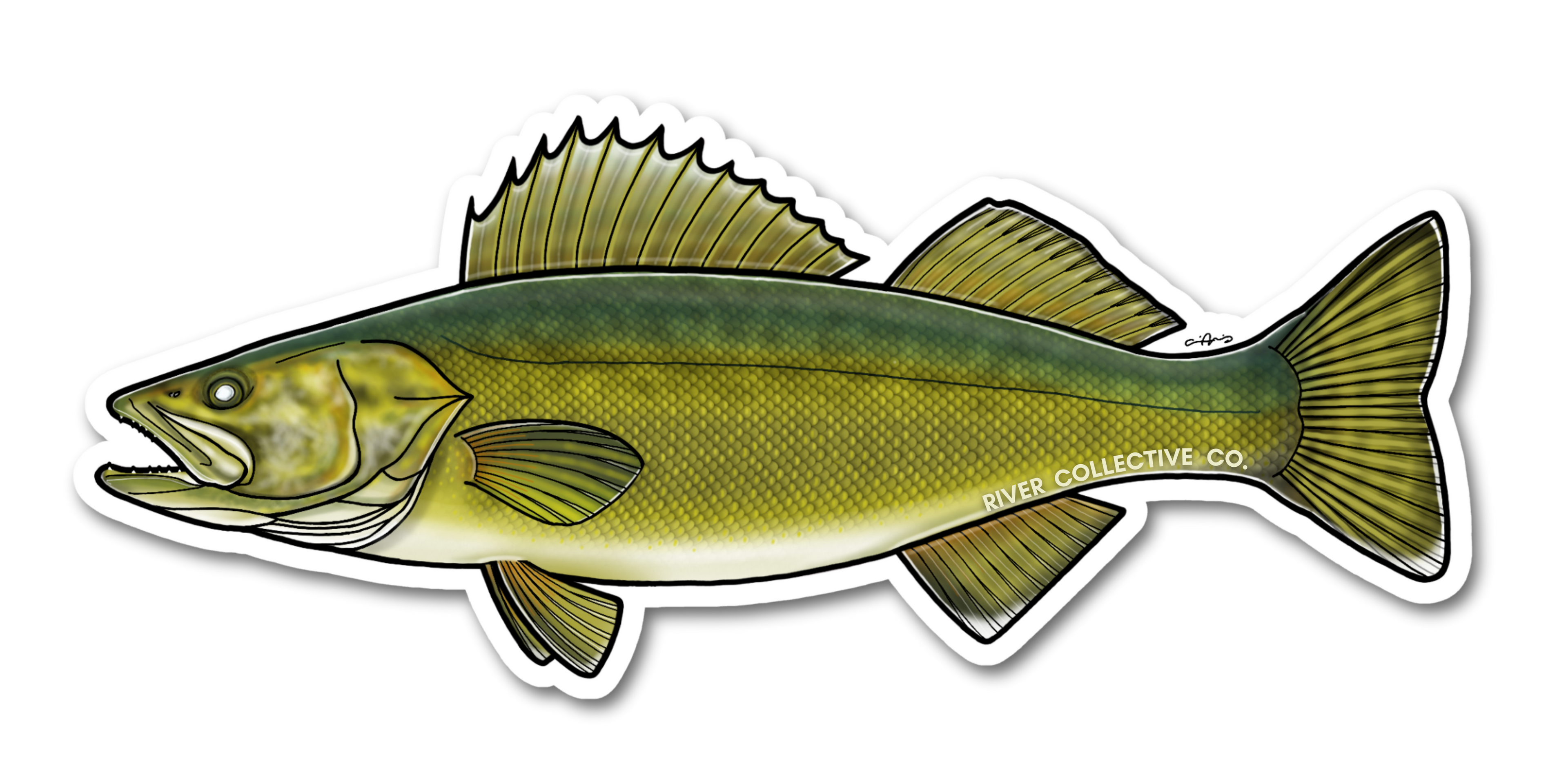 WALLEYE DECAL