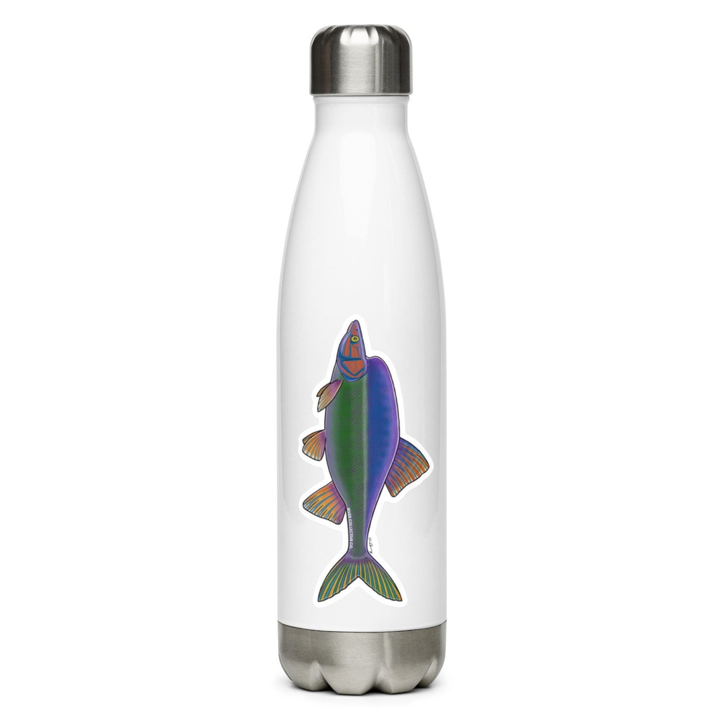 HUMPBACK CHUB DECAL