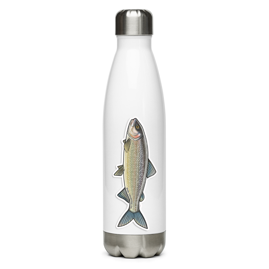 MOUNTAIN WHITEFISH DECAL