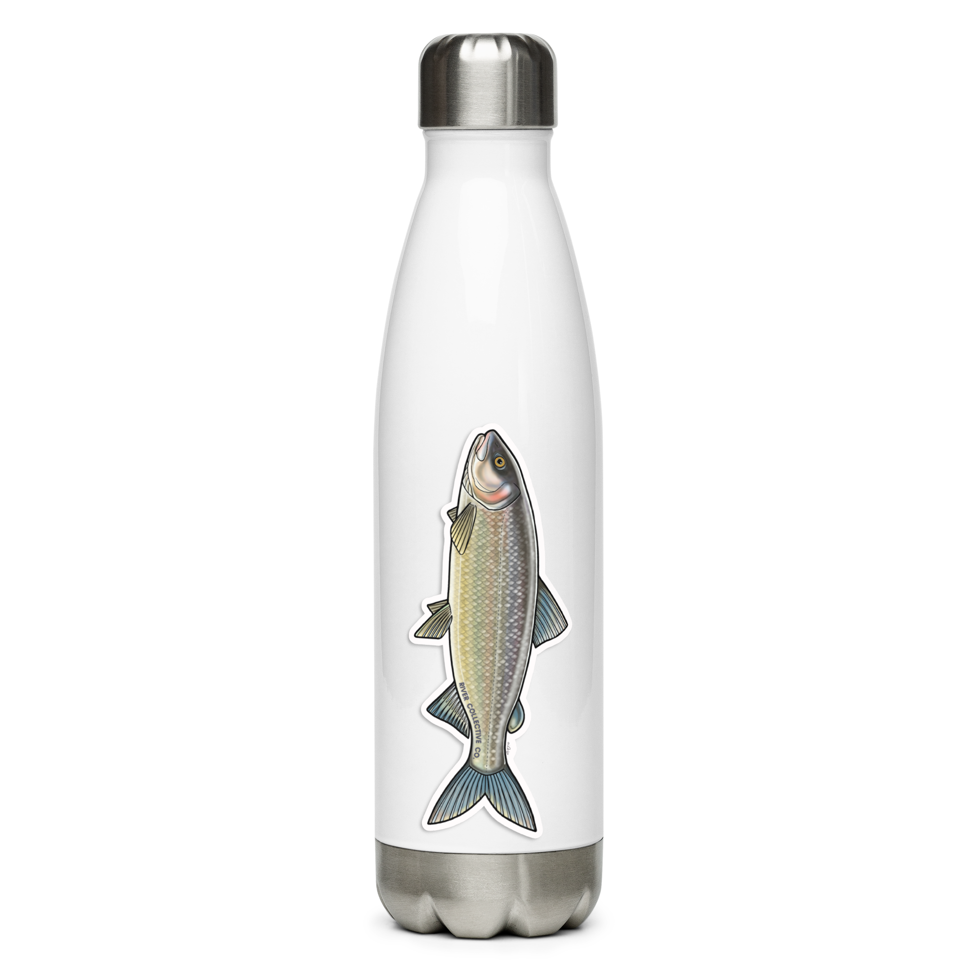 MOUNTAIN WHITEFISH DECAL