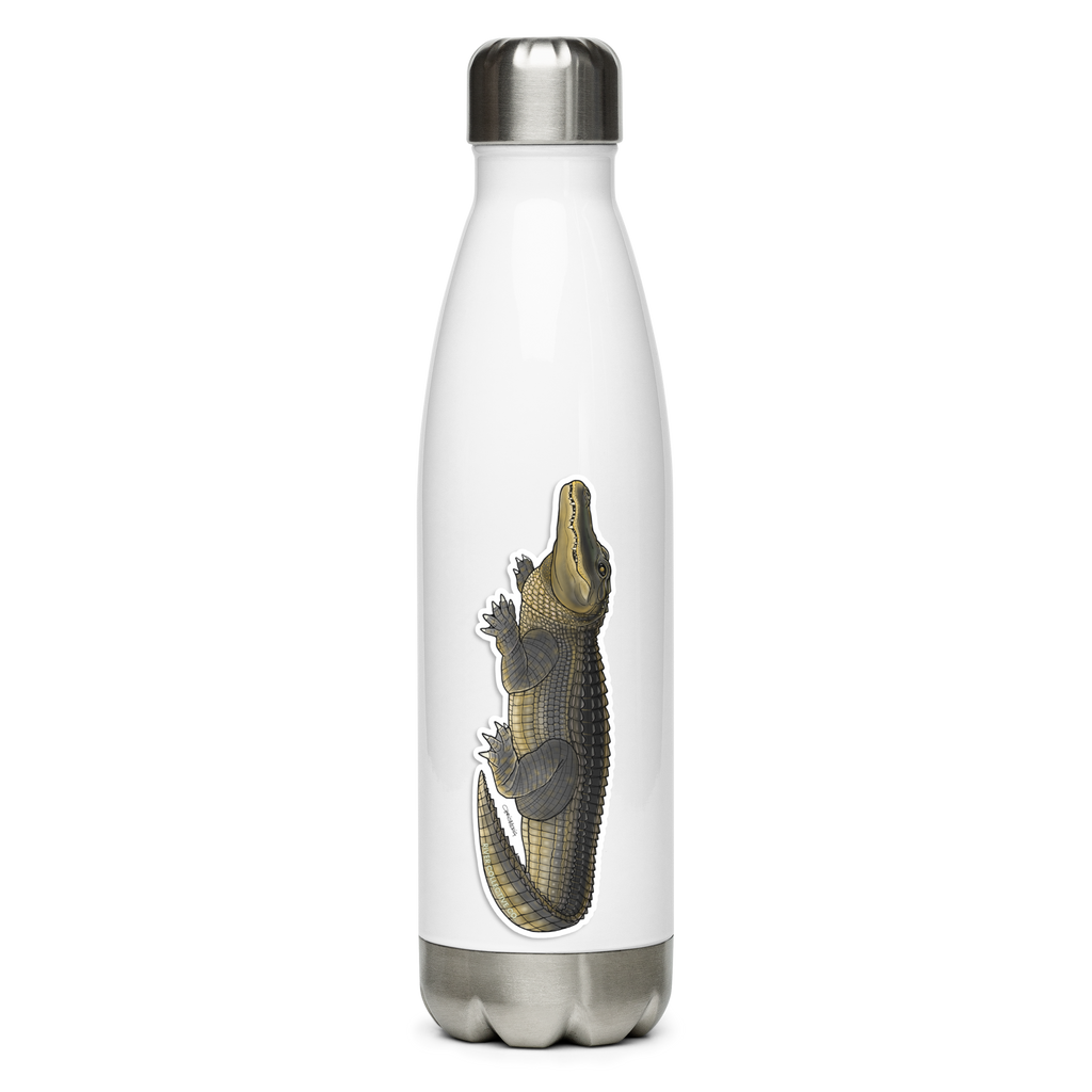 AMERICAN ALLIGATOR DECAL