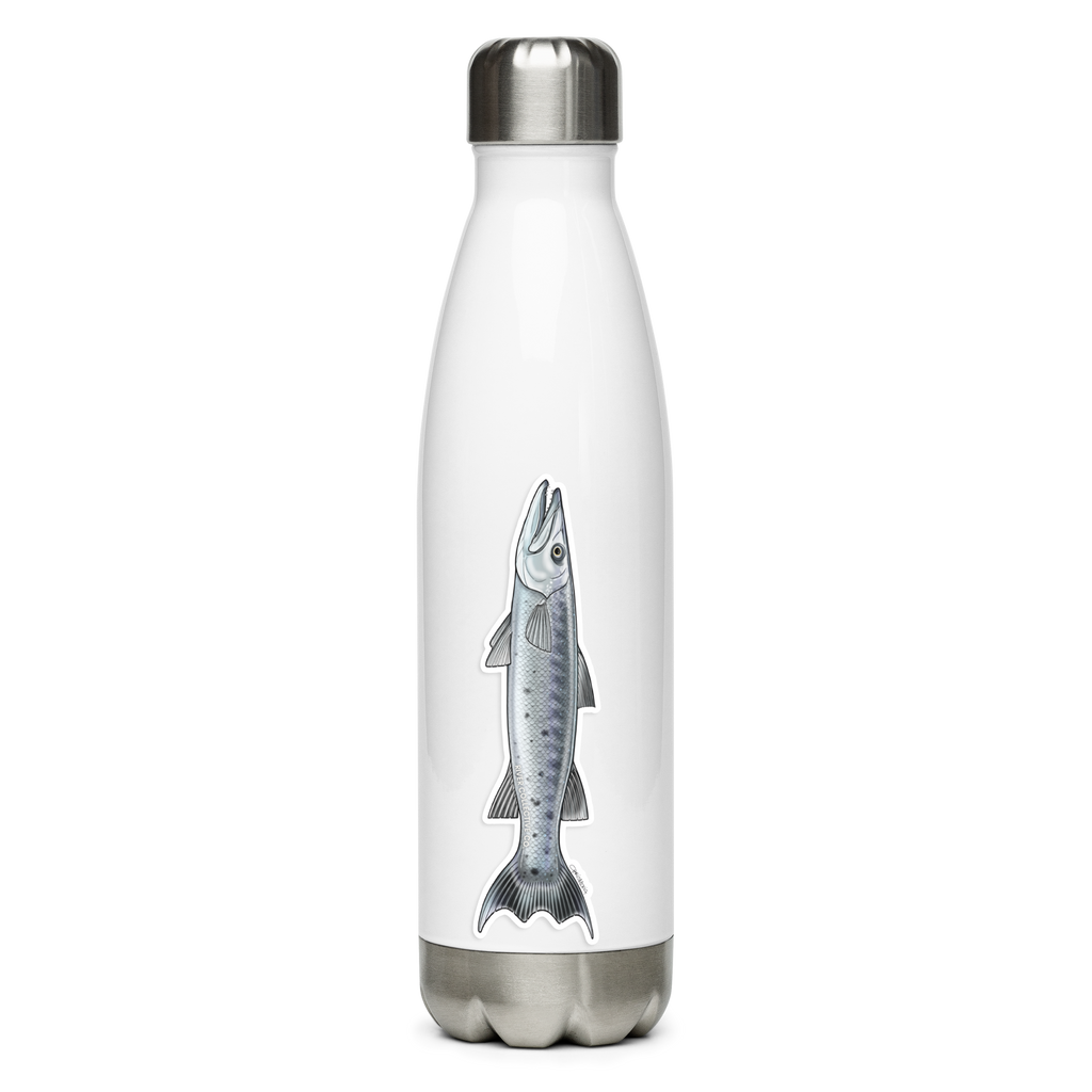 GREAT BARRACUDA DECAL