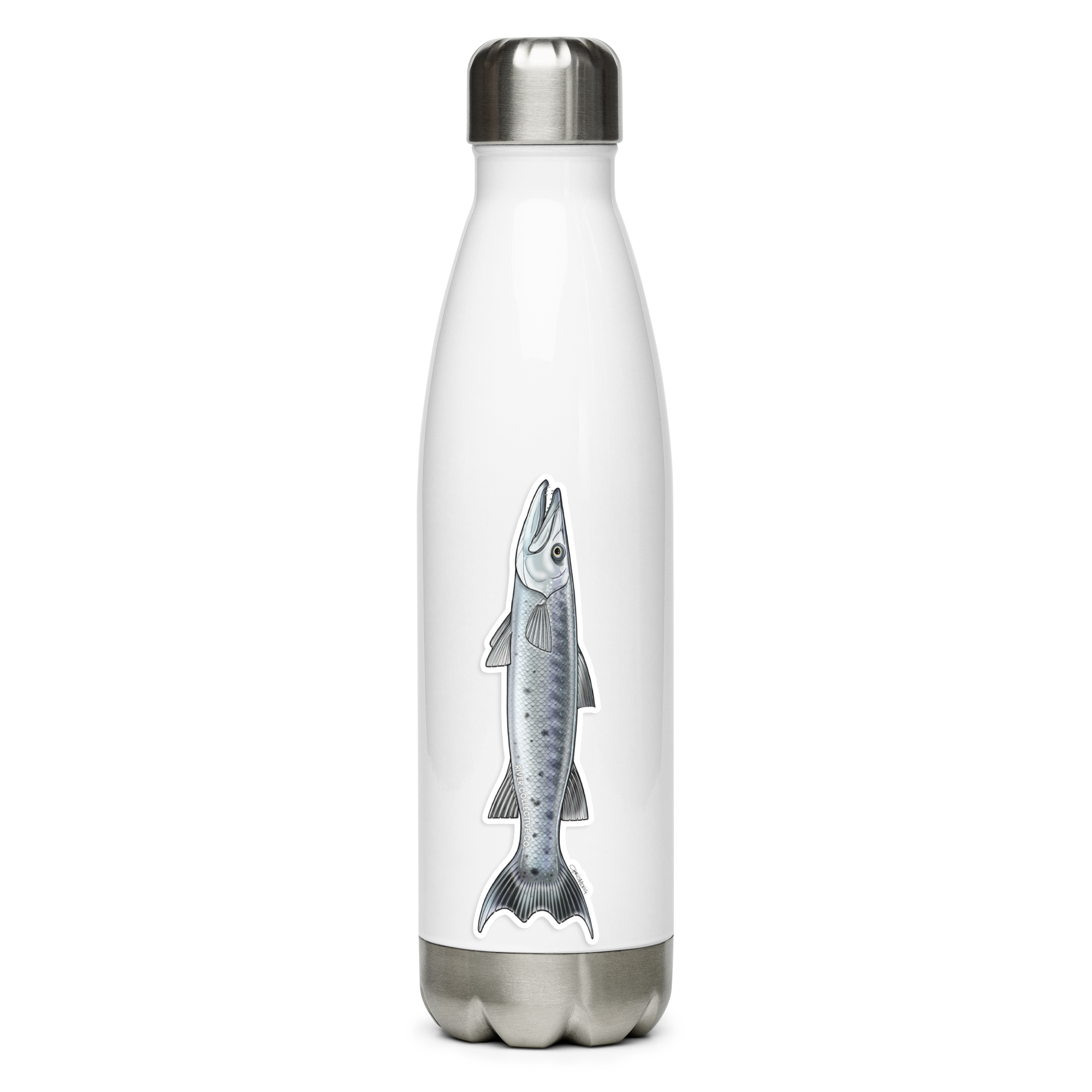 GREAT BARRACUDA DECAL