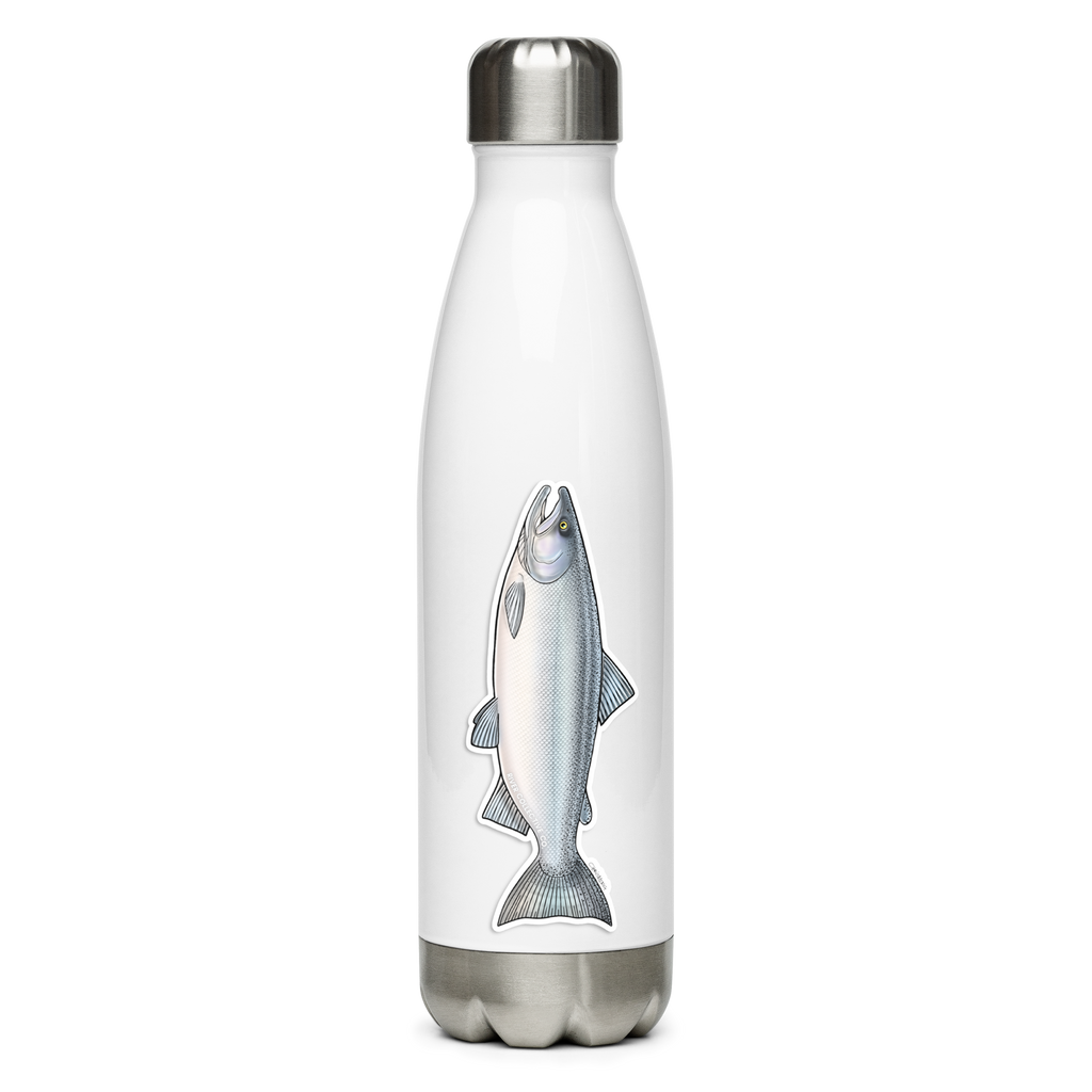 CHINOOK SALMON (CHROME) DECAL