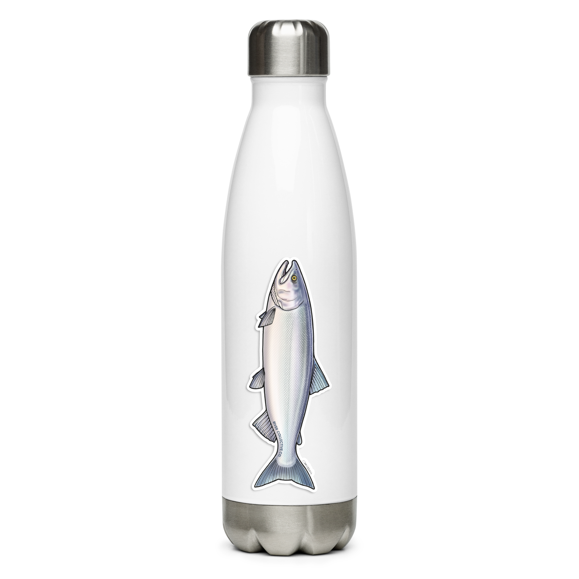 SOCKEYE SALMON (CHROME) DECAL