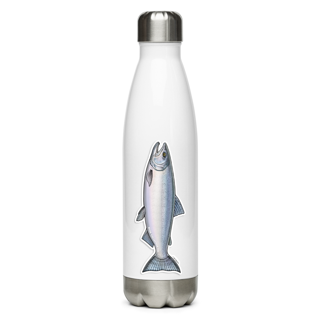 COHO SALMON (CHROME) DECAL