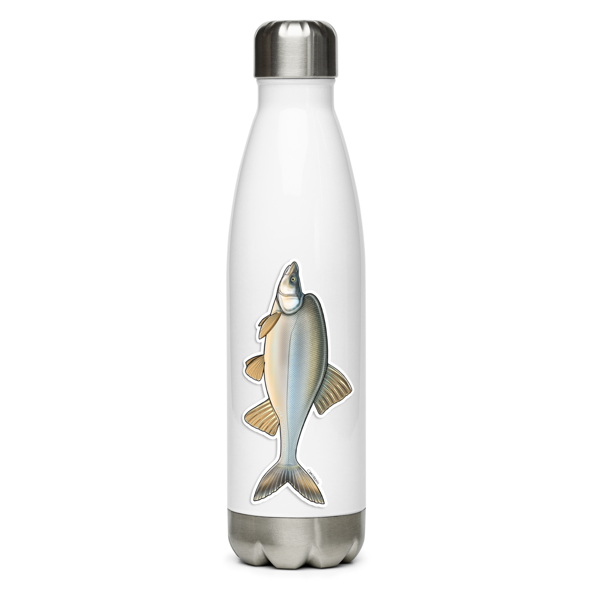 HUMPBACK CHUB DECAL