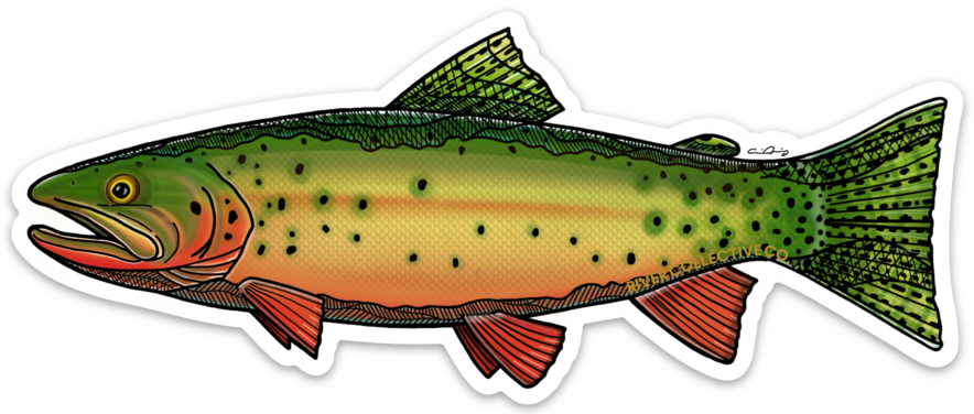 GREENBACK CUTTHROAT TROUT DECAL