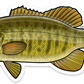 SMALLMOUTH BASS