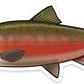 COHO SALMON DECAL (SPAWN)