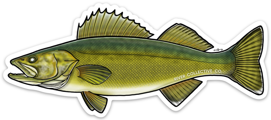 WALLEYE DECAL