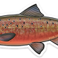 ATLANTIC SALMON DECAL (SPAWN)