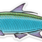 TARPON DECAL