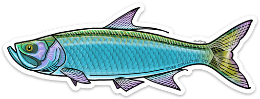 TARPON DECAL