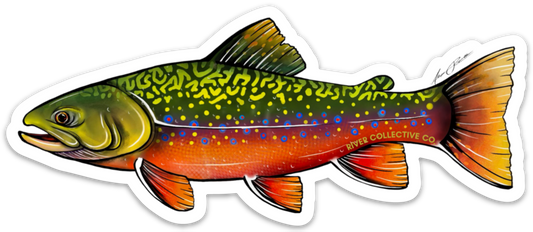 BROOK TROUT DECAL