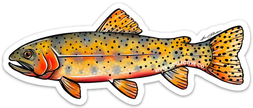 CUTTHROAT TROUT DECAL