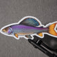 GRAYLING TROUT DECAL