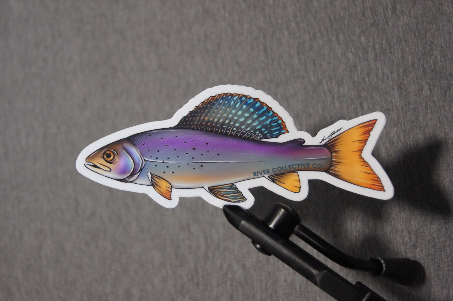 GRAYLING TROUT DECAL