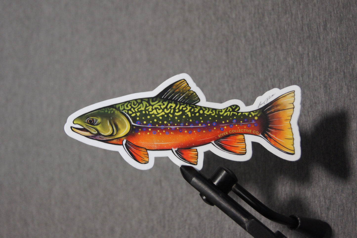 BROOK TROUT DECAL